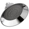 Peerless Other Shower Head - Raincan RP70537 - alternate 1